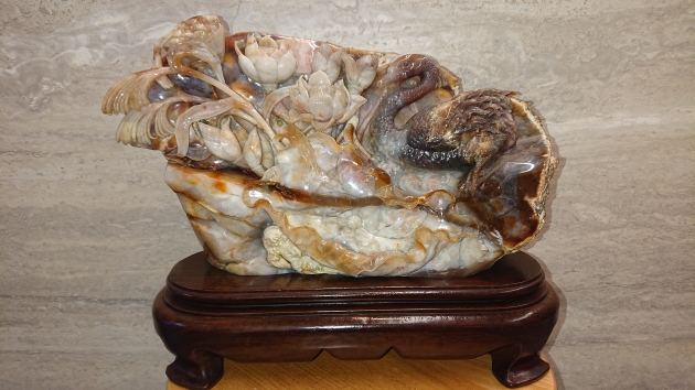 黑天鵝 1