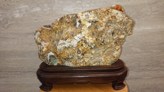 黑天鵝 2