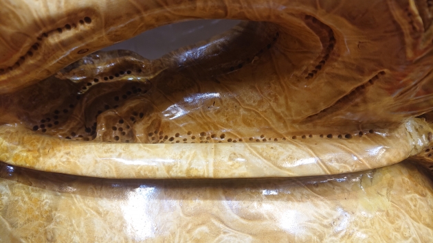 金絲楠木-瘤花 4