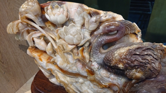 黑天鵝 3